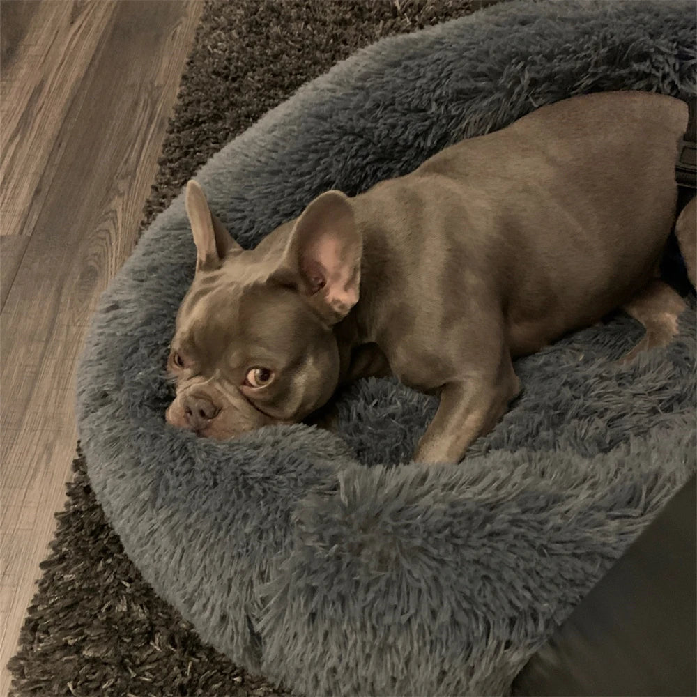 Super Soft Round Pet Bed Long Plush Dog House for Medium Dogs