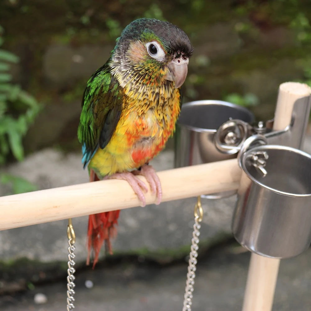 Soporte de percha para patio de juegos de pájaros, tazas de alimentación, colu
