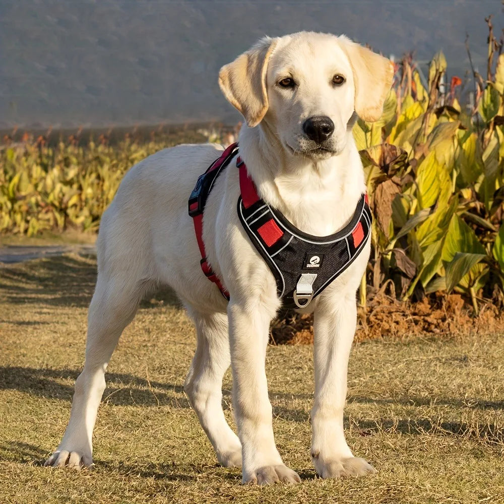 Arnés antiestrangulamiento para perro, pecho con tira reflectante, cómodo, duradero, mango ajustable para perros pequeños, medianos y grandes