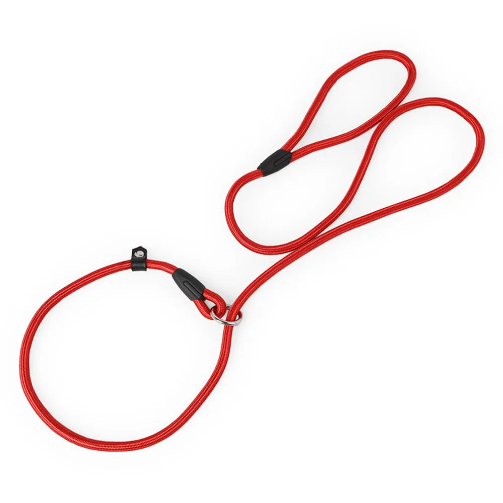 Correa de nailon ajustable para perros medianos y pequeños, correa de entrenami