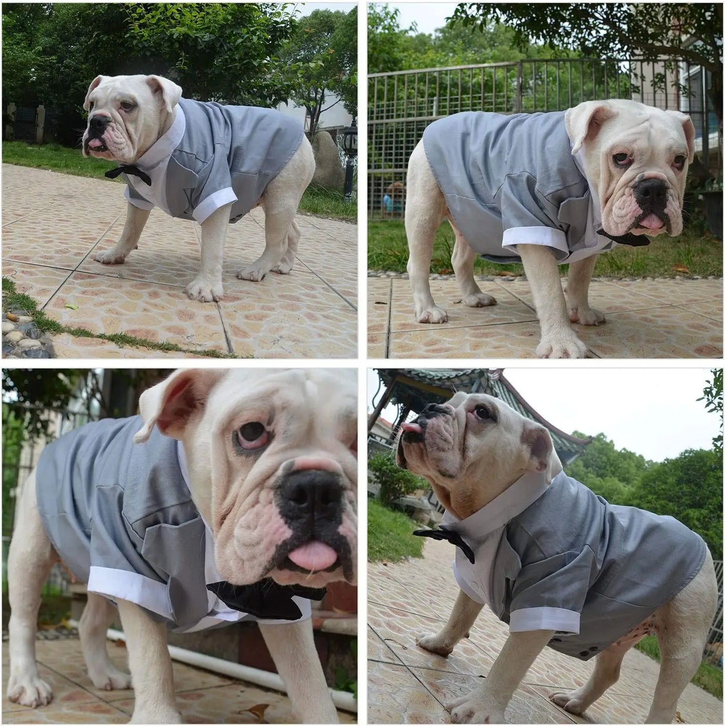 Disfraz de Bulldog para perro, esmoquin Formal con pajarita negra, ropa de boda para Pugs/Bulldog Francés, novedad