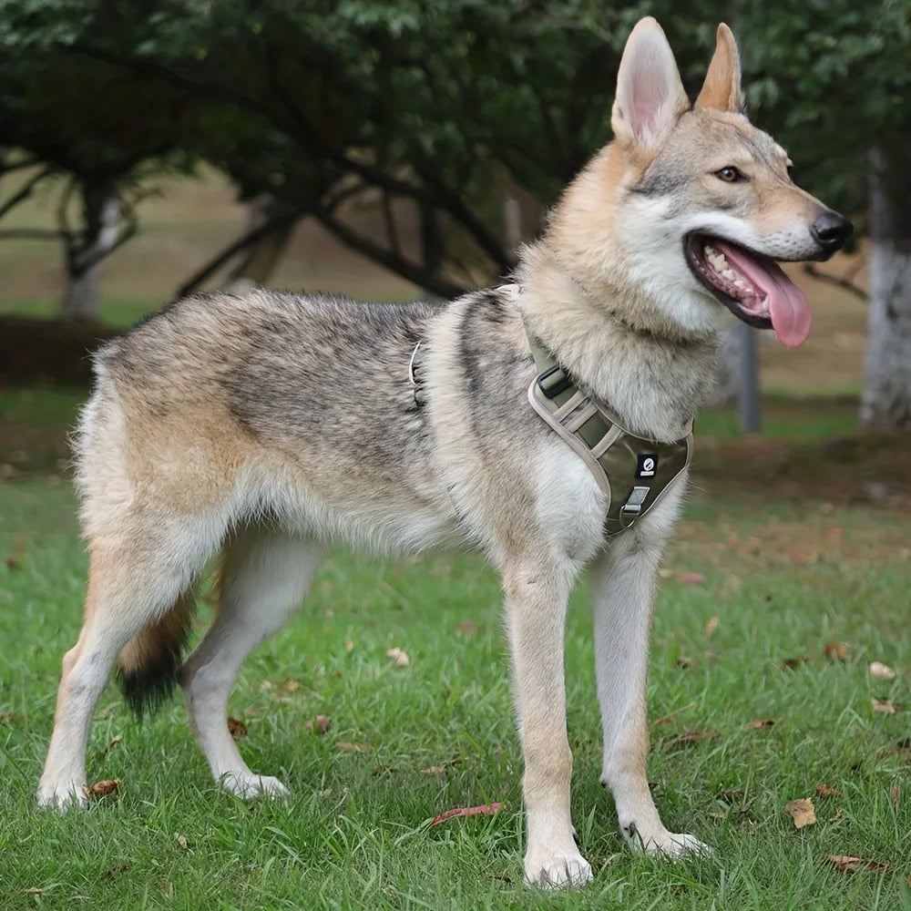 Arnés antiestrangulamiento para perro, pecho con tira reflectante, cómodo, duradero, mango ajustable para perros pequeños, medianos y grandes