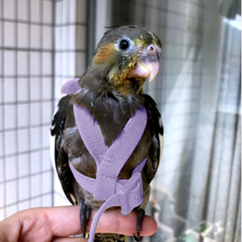 Parrot Flying Harness Leash Suit Outdoor Flying Training Rope