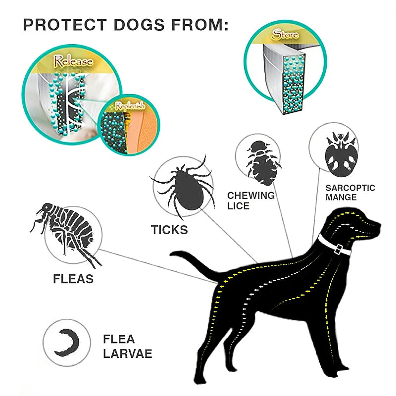 Collar ajustable antipulgas y garrapatas para mascotas, Collar de protección de