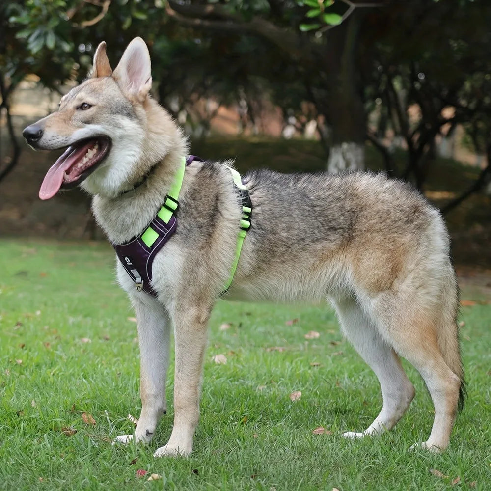 Arnés antiestrangulamiento para perro, pecho con tira reflectante, cómodo, duradero, mango ajustable para perros pequeños, medianos y grandes