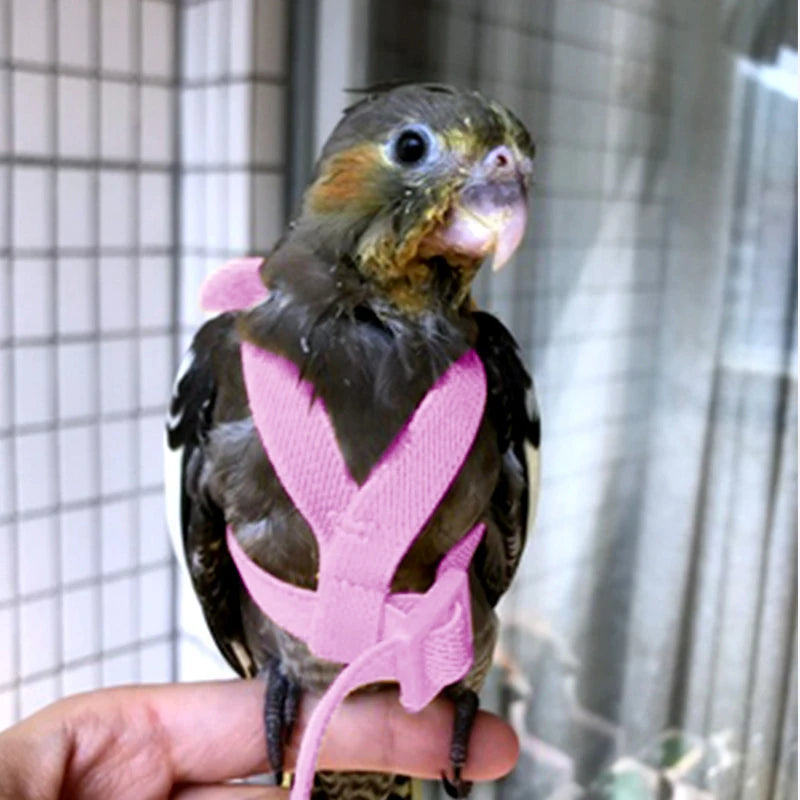 Parrot Flying Harness Leash Suit Outdoor Flying Training Rope