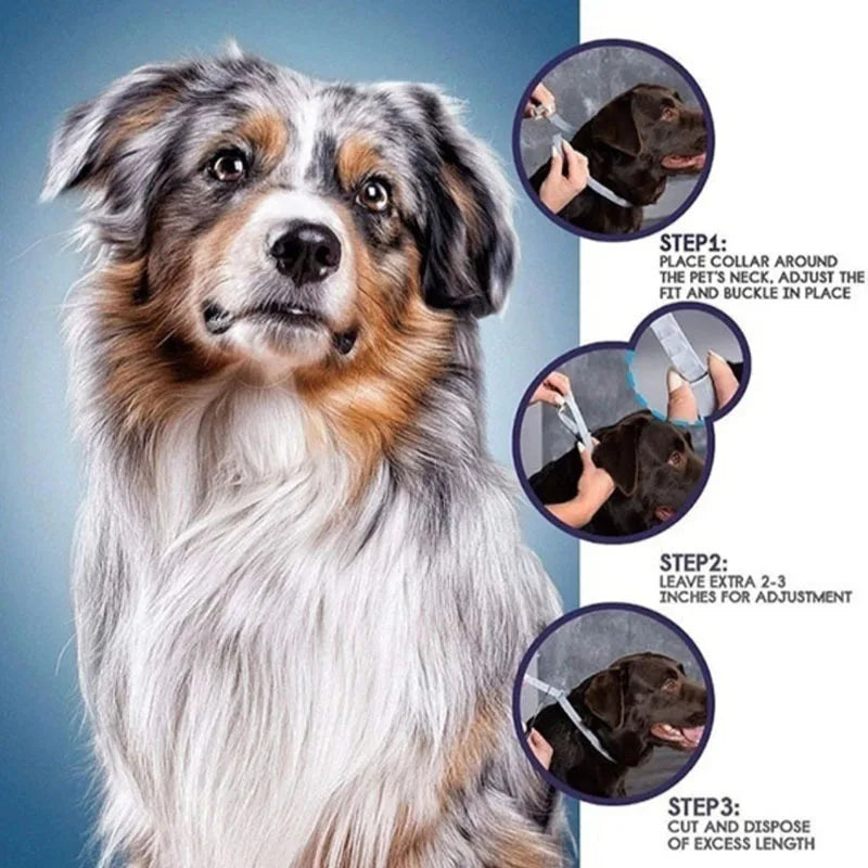 Collar ajustable antipulgas y garrapatas para mascotas, Collar de protección de