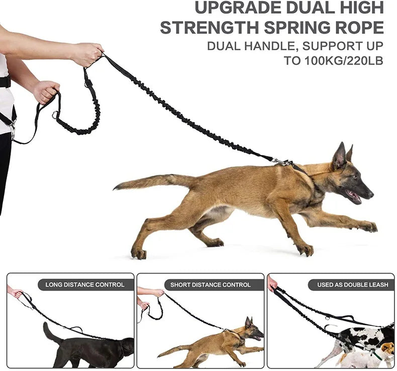 Riñonera de entrenamiento para perros, bolsa de trato para mascotas, deportes m