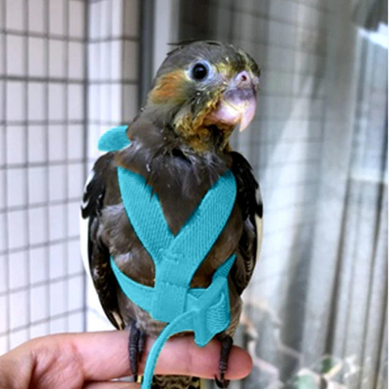 Parrot Flying Harness Leash Suit Outdoor Flying Training Rope