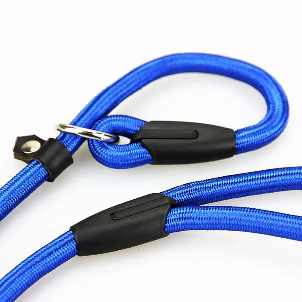Correa de nailon ajustable para perros medianos y pequeños, correa de entrenami