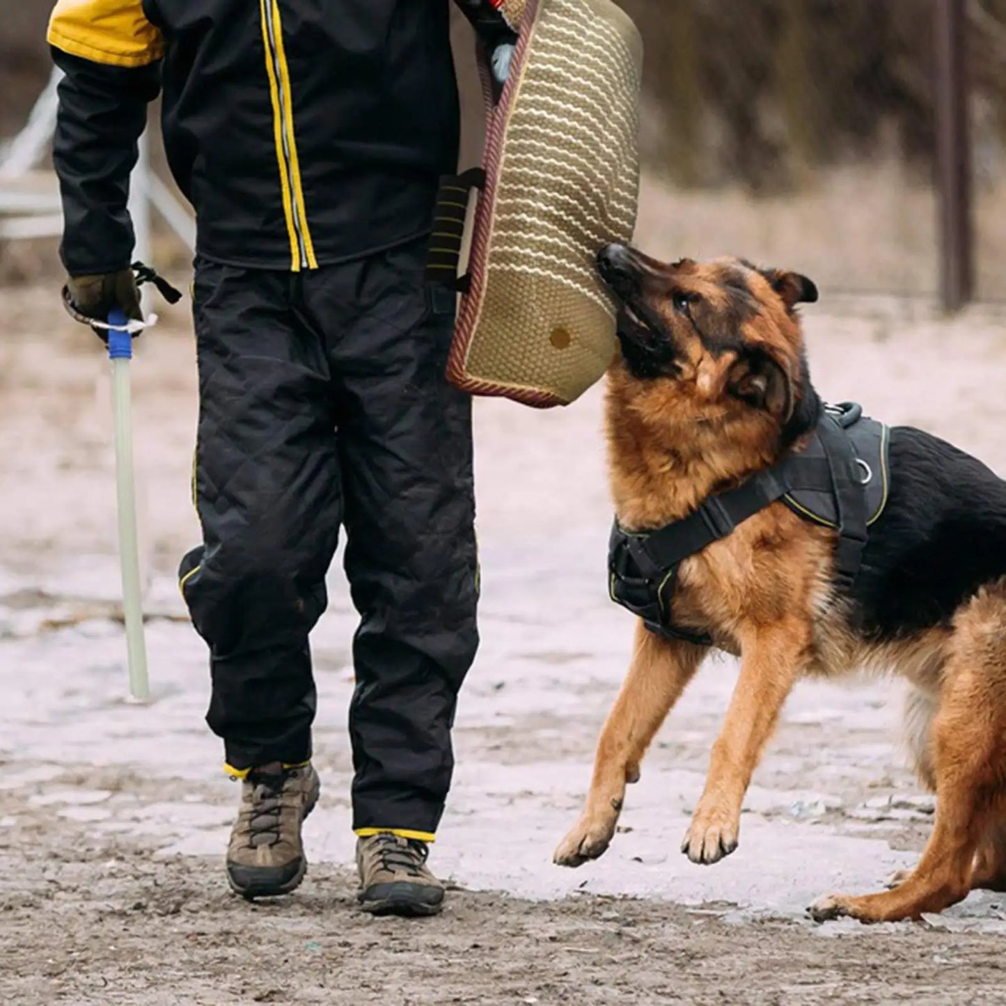 Manga protectora para morder perros, equipo de entrenamiento, palo de agitación