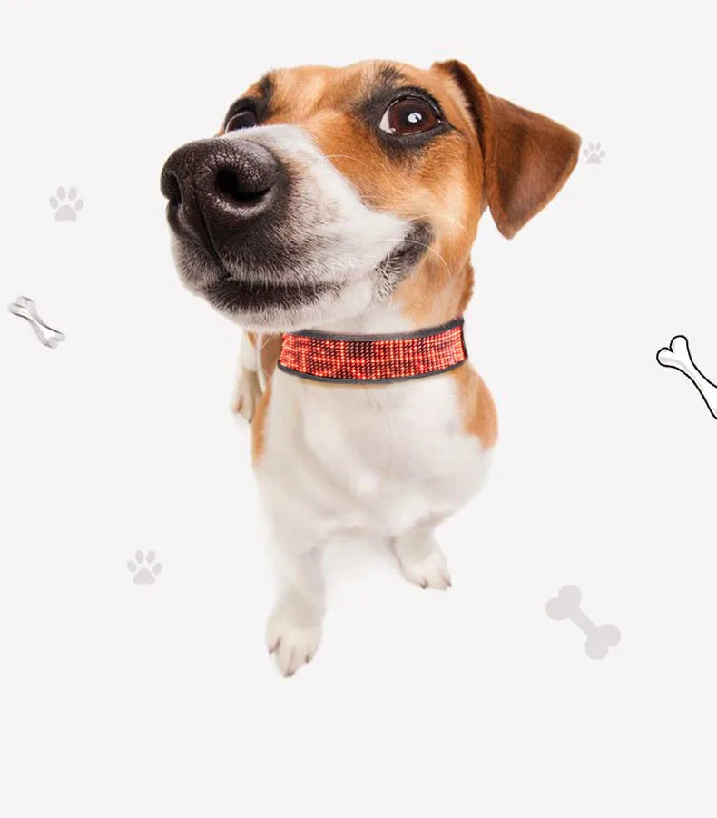 Collar antipérdida para mascotas Pantalla LED Bluetooth Tamaño ajustable Noche Luminosa USB