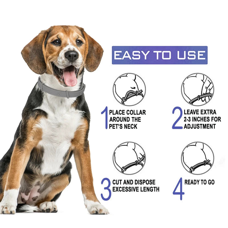 Collar ajustable antipulgas y garrapatas para mascotas, Collar de protección de
