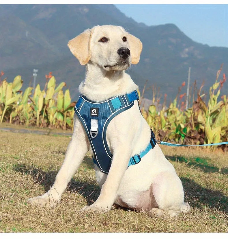 Arnés antiestrangulamiento para perro, pecho con tira reflectante, cómodo, duradero, mango ajustable para perros pequeños, medianos y grandes
