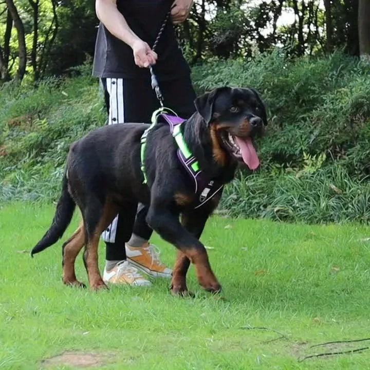 Arnés antiestrangulamiento para perro, pecho con tira reflectante, cómodo, duradero, mango ajustable para perros pequeños, medianos y grandes