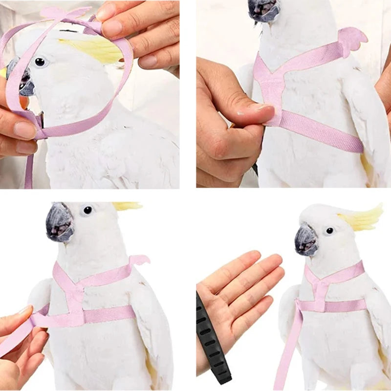 Parrot Flying Harness Leash Suit Outdoor Flying Training Rope