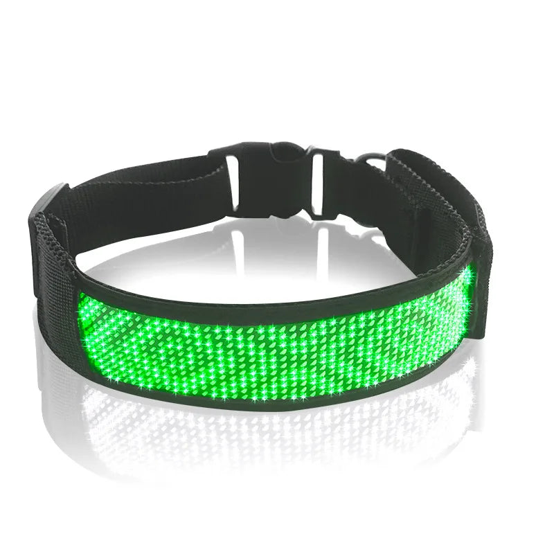 Collar antipérdida para mascotas Pantalla LED Bluetooth Tamaño ajustable Noche Luminosa USB