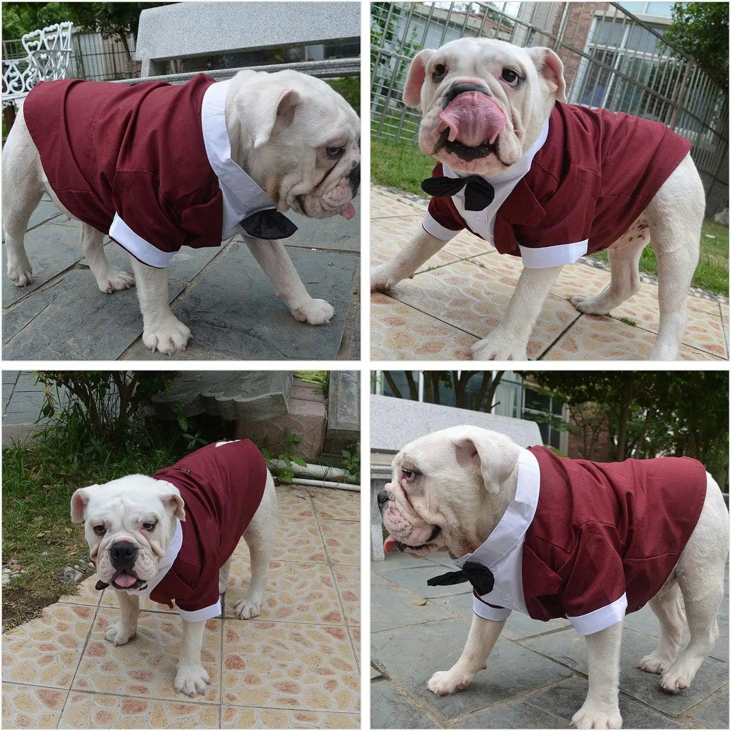 Disfraz de Bulldog para perro, esmoquin Formal con pajarita negra, ropa de boda para Pugs/Bulldog Francés, novedad