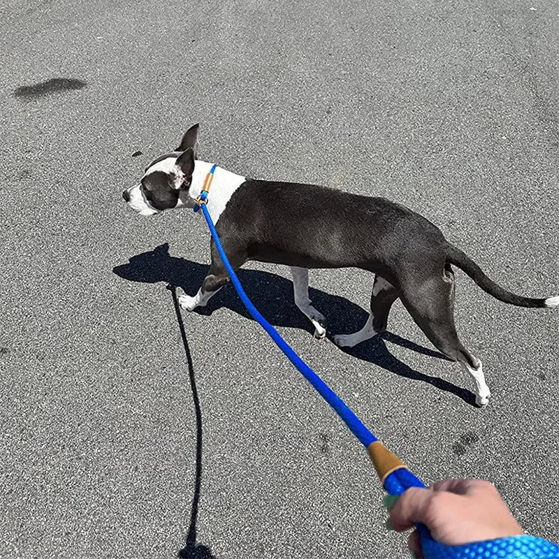 Dog Collar Anti-slip Lead Leash High Strength Braided Rope
