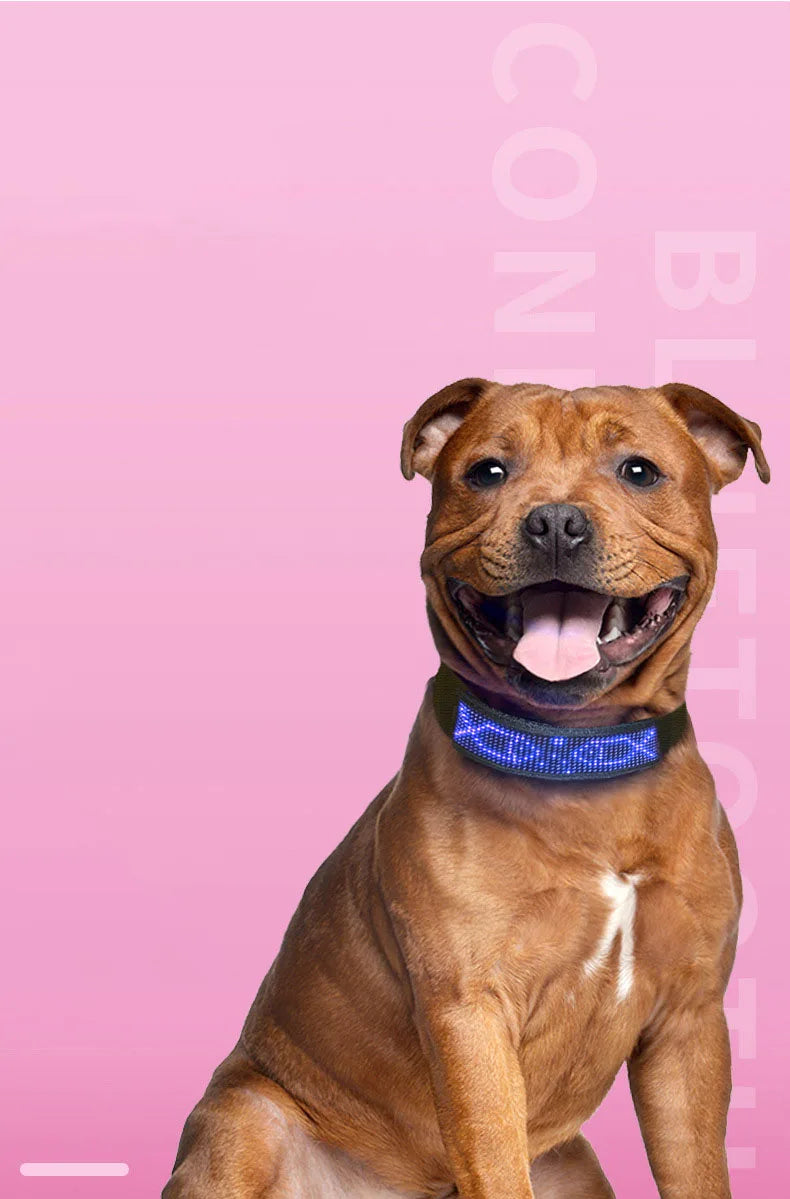 Collar antipérdida para mascotas Pantalla LED Bluetooth Tamaño ajustable Noche Luminosa USB