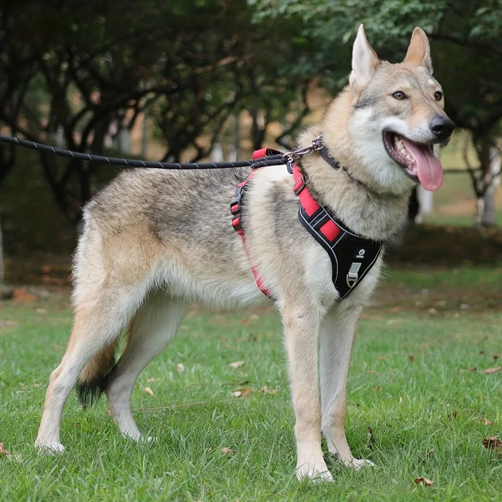 Arnés antiestrangulamiento para perro, pecho con tira reflectante, cómodo, duradero, mango ajustable para perros pequeños, medianos y grandes
