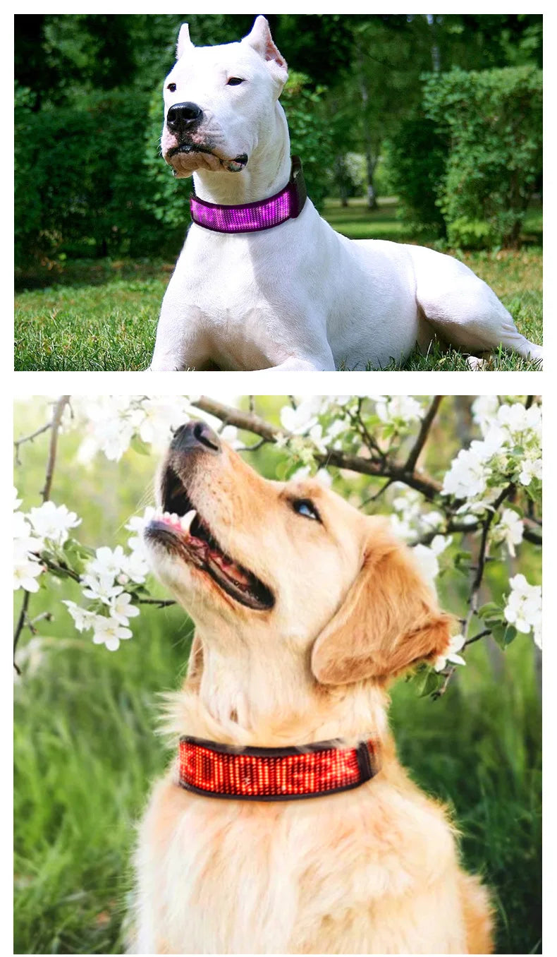 Collar antipérdida para mascotas Pantalla LED Bluetooth Tamaño ajustable Noche Luminosa USB
