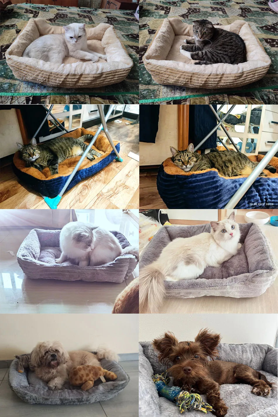 Square Plush Dog Cat Bed Sofa Bed for Medium and Small Dogs