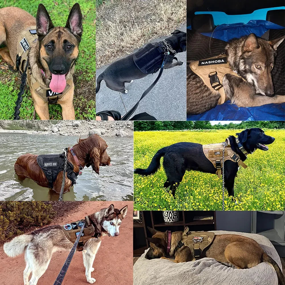 Arnés táctico militar para perro grande, con cuerda, reflectante, con asa, rop