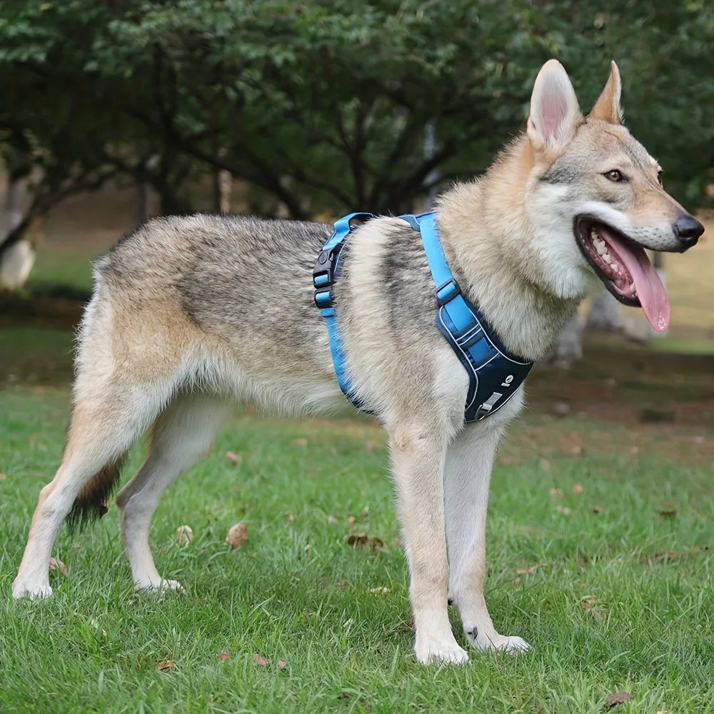 Arnés antiestrangulamiento para perro, pecho con tira reflectante, cómodo, duradero, mango ajustable para perros pequeños, medianos y grandes