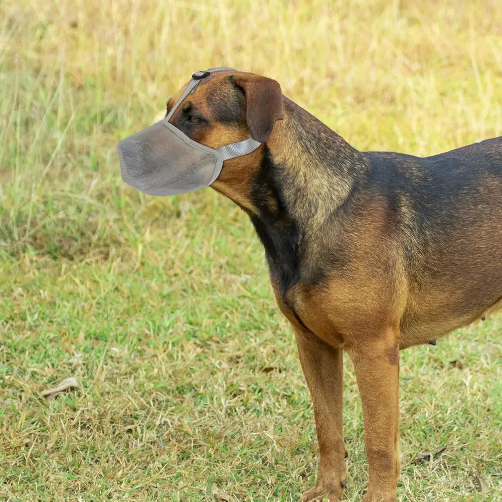 Bozal antiladridos para perros, Máscara ajustable de malla transpirable para la