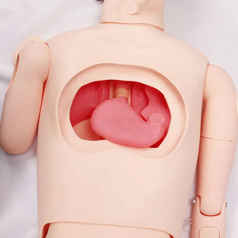 Multifunctional Combination Nurse Training Mannequin Simulator