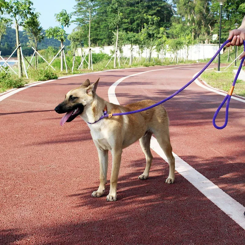 Dog Collar Anti-slip Lead Leash High Strength Braided Rope