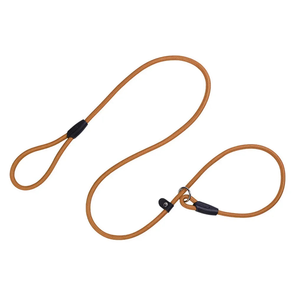 Correa de nailon ajustable para perros medianos y pequeños, correa de entrenami