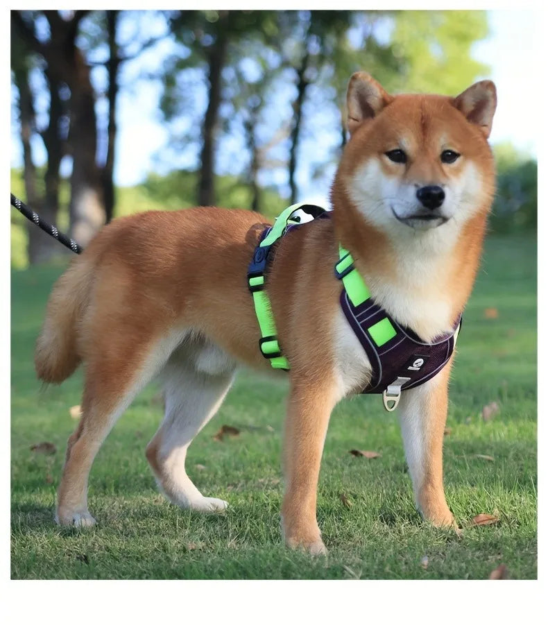 Arnés antiestrangulamiento para perro, pecho con tira reflectante, cómodo, duradero, mango ajustable para perros pequeños, medianos y grandes