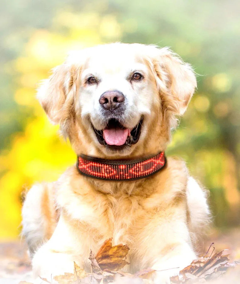 Collar antipérdida para mascotas Pantalla LED Bluetooth Tamaño ajustable Noche Luminosa USB