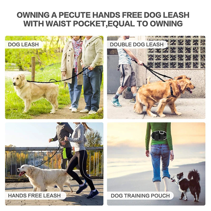 Riñonera de entrenamiento para perros, bolsa de trato para mascotas, deportes m