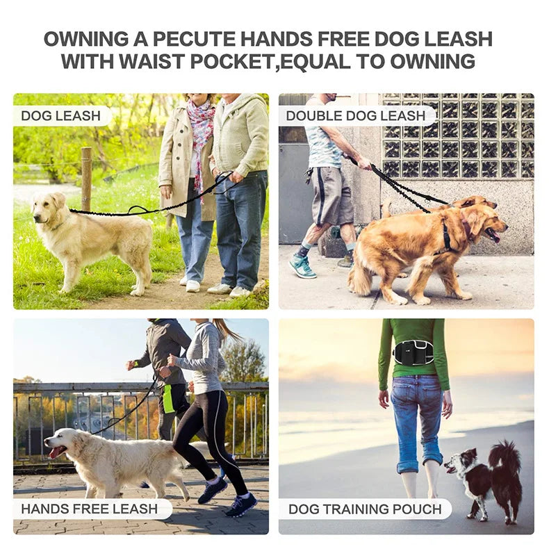 Riñonera de entrenamiento para perros, bolsa de trato para mascotas, deportes m