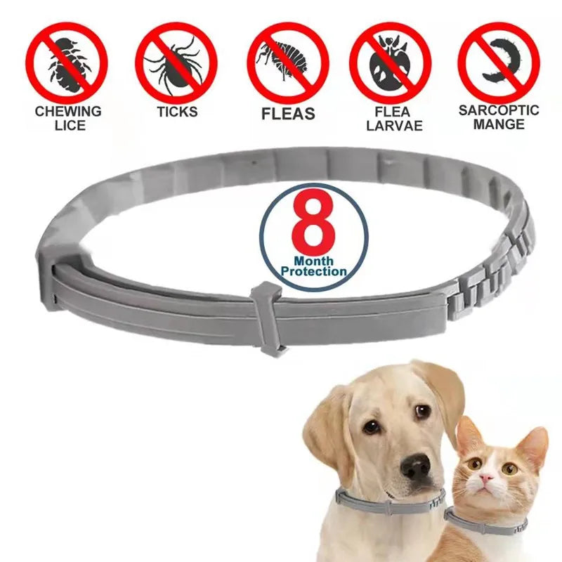 Collar ajustable antipulgas y garrapatas para mascotas, Collar de protección de