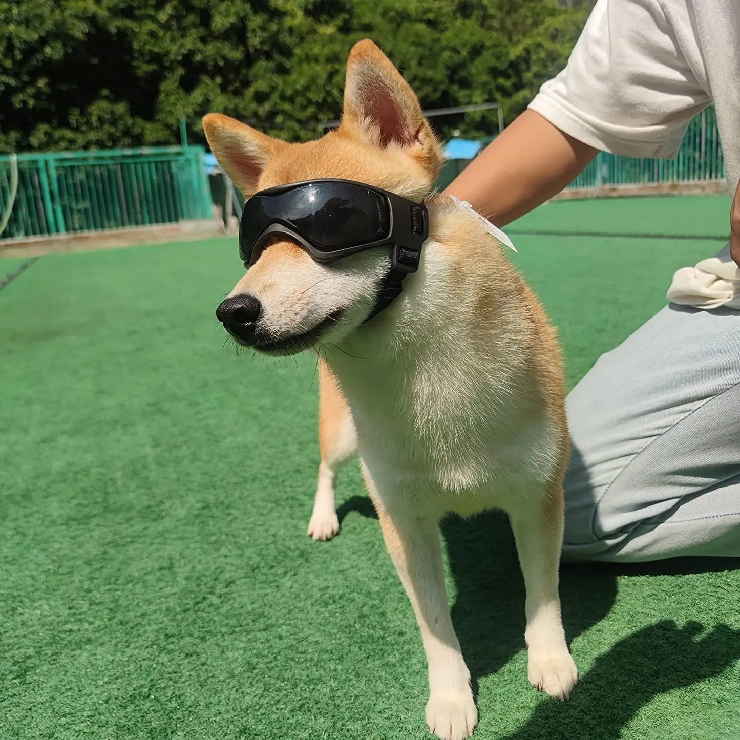 Pet UV Protection Sunglasses Outdoor Dog Accessories