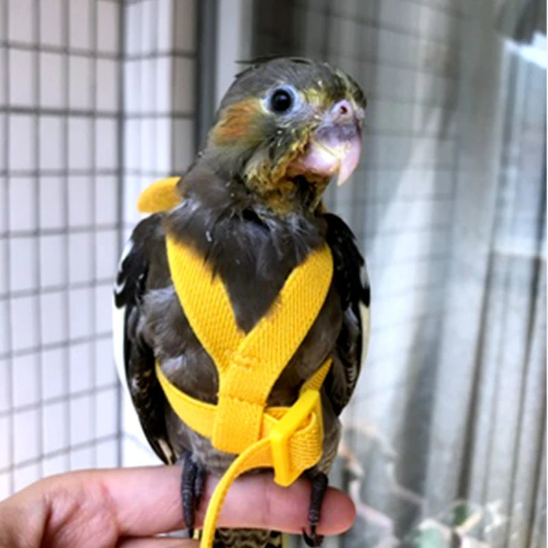 Parrot Flying Harness Leash Suit Outdoor Flying Training Rope
