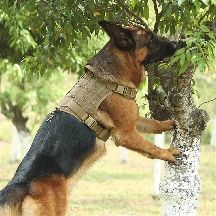 Arnés táctico militar para perro grande, con cuerda, reflectante, con asa, rop