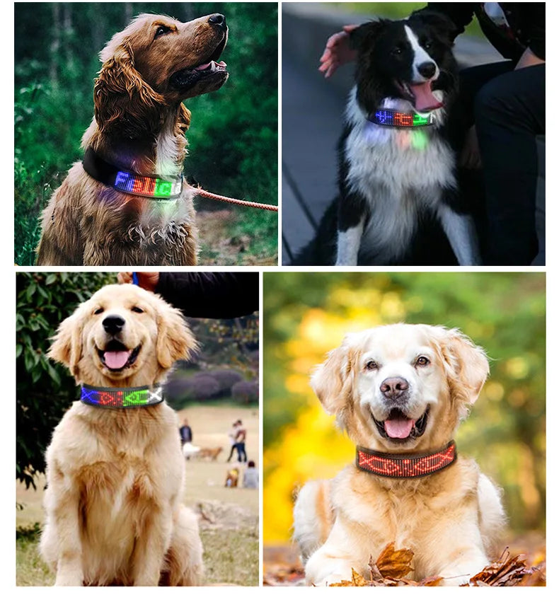Collar antipérdida para mascotas Pantalla LED Bluetooth Tamaño ajustable Noche Luminosa USB