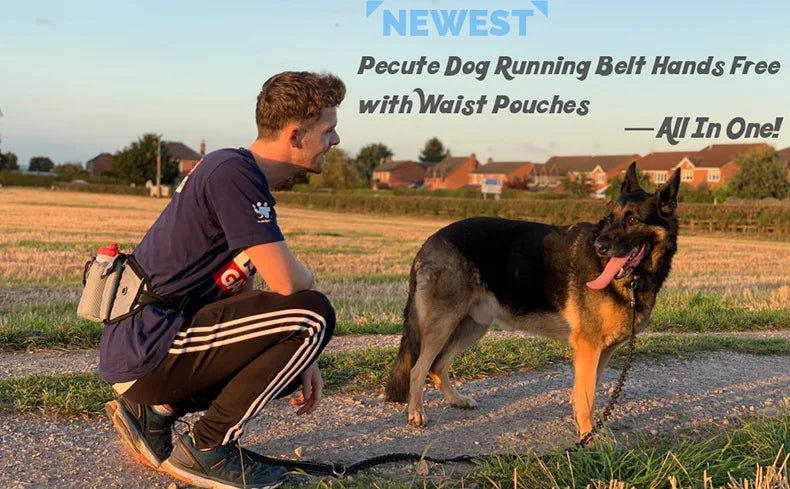 Riñonera de entrenamiento para perros, bolsa de trato para mascotas, deportes m
