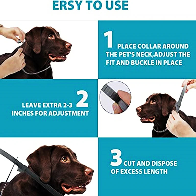 Collar ajustable antipulgas y garrapatas para mascotas, Collar de protección de