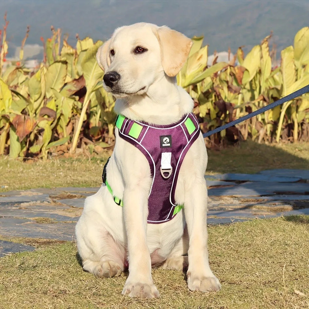 Arnés antiestrangulamiento para perro, pecho con tira reflectante, cómodo, duradero, mango ajustable para perros pequeños, medianos y grandes