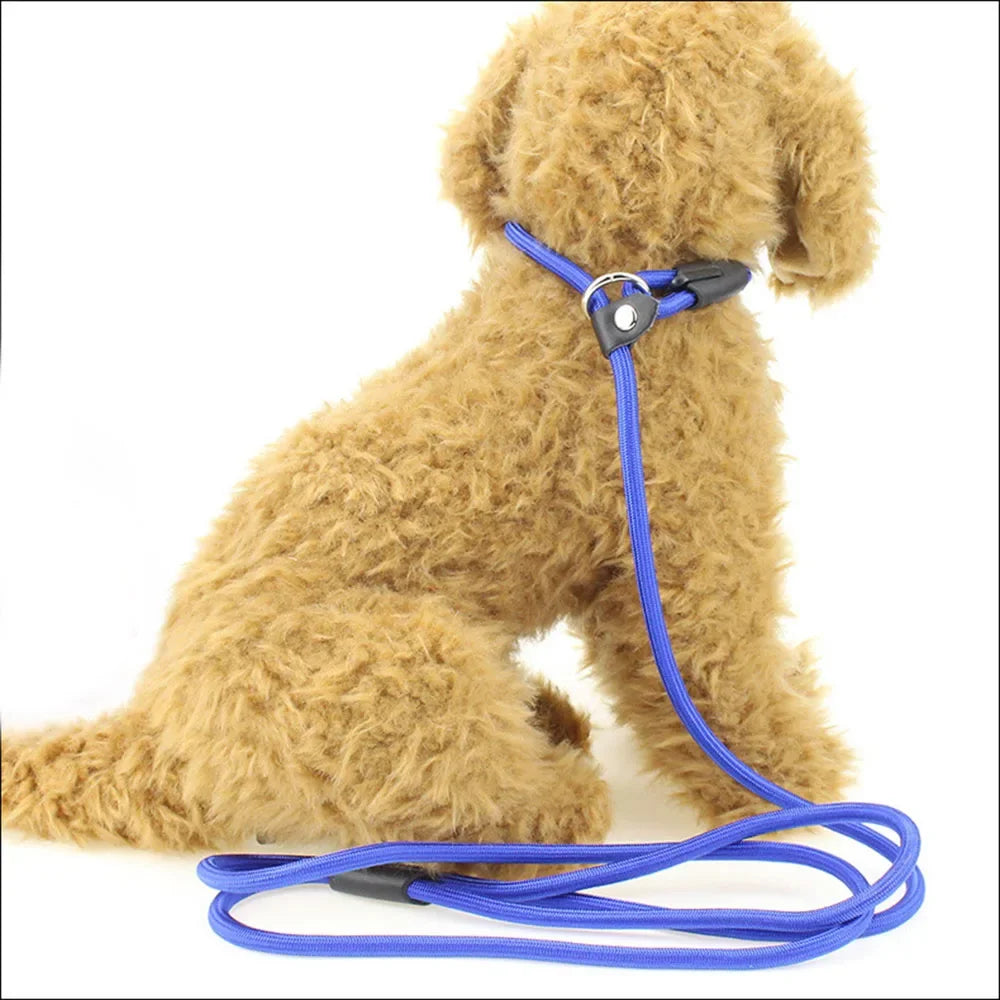 Correa de nailon ajustable para perros medianos y pequeños, correa de entrenami