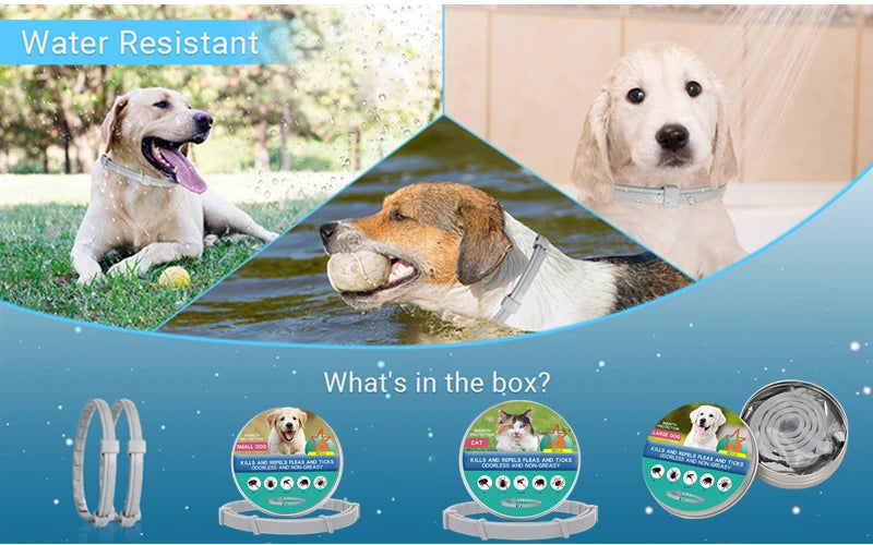 Collar antiparasitario para mascotas, accesorio retráctil de protección para pulgas y garrapatas