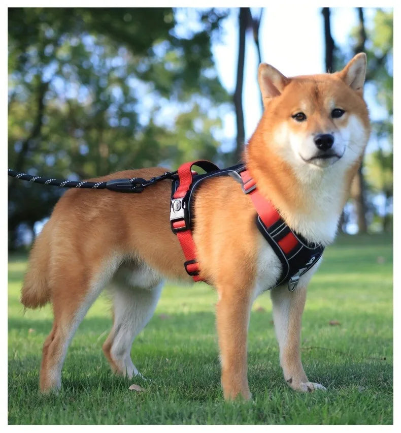 Arnés antiestrangulamiento para perro, pecho con tira reflectante, cómodo, duradero, mango ajustable para perros pequeños, medianos y grandes