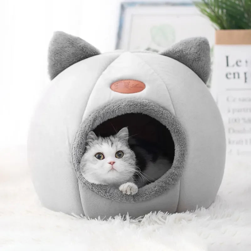 Comfortable bed for deep sleep in winter, cat mat, basket