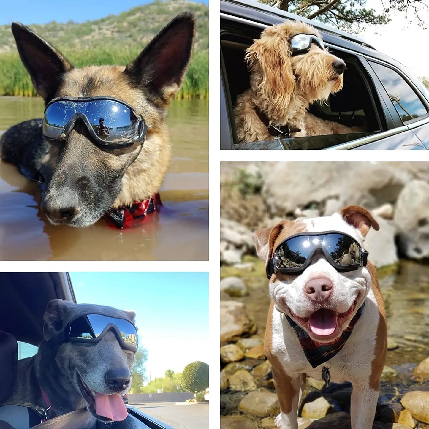 Dog Sunglasses, Adjustable Strap for Travel, Ski and Anti-Fog, Goggles